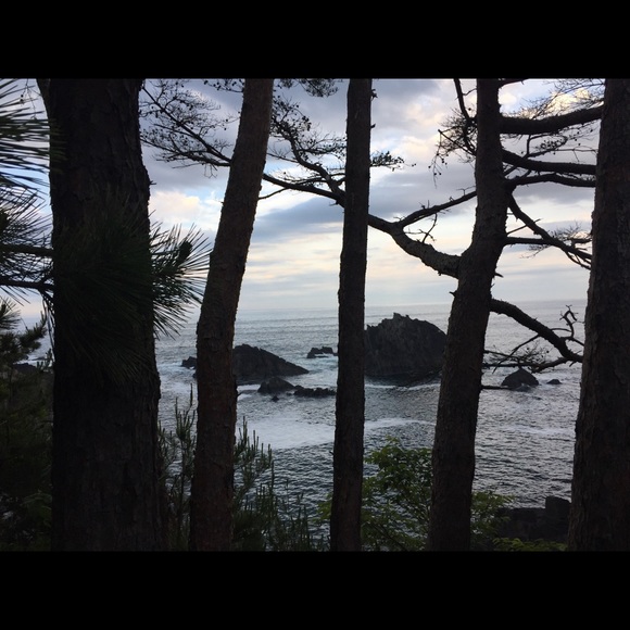 Meet your Posher, Sky - Picture 5 of 6